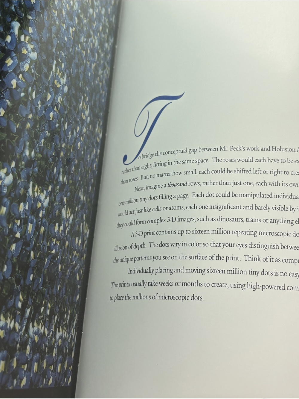 Vintage 1994 Holusion Art Hardcover Book - Michael Bielinski - 90s Nostalgia - Picture 11 of 13